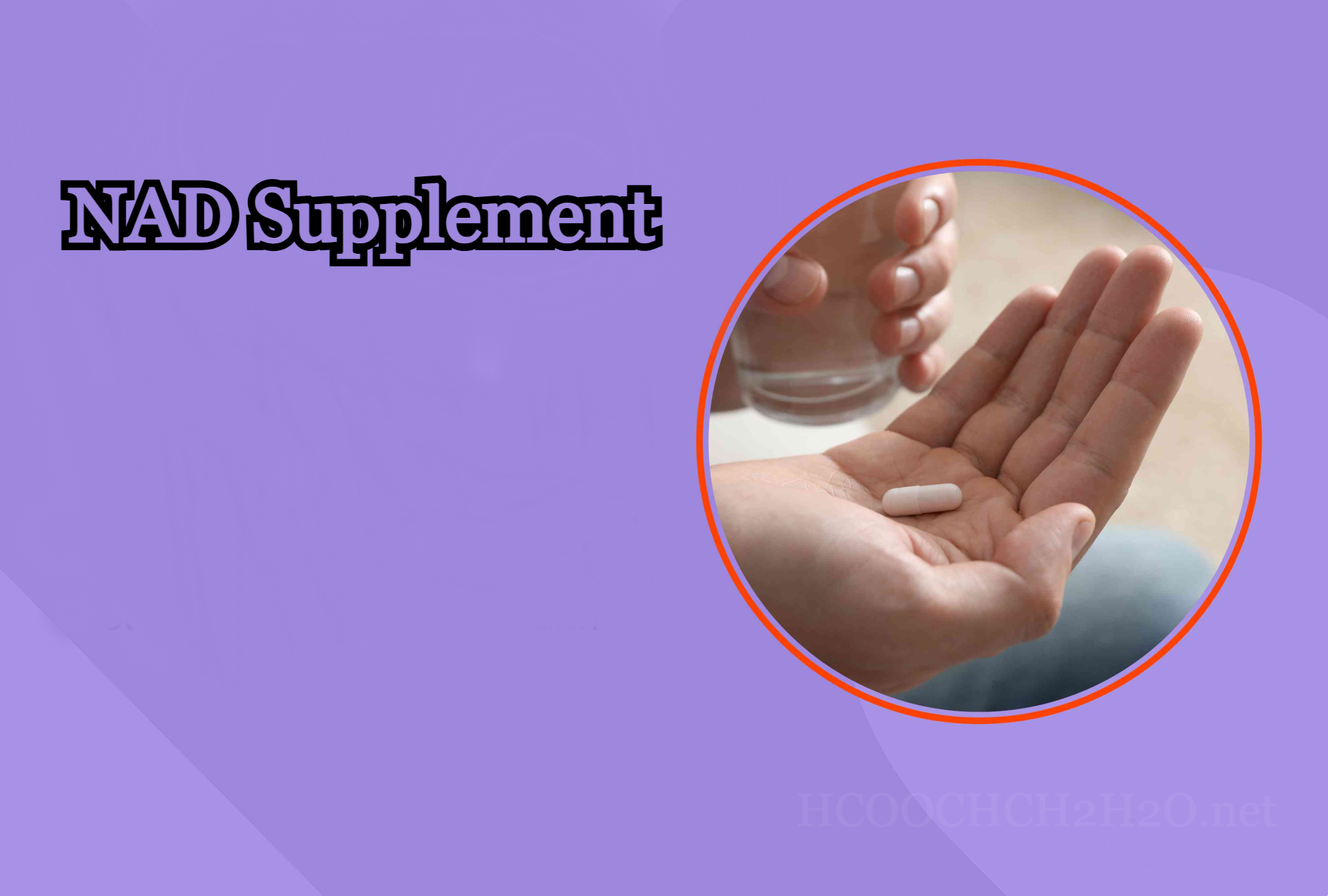 NAD Supplement